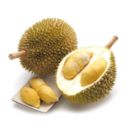 Collection of Musang King Malaysian Durian (D197) (猫山王榴莲) From 3.5 to 4.5 Lbs in a gallery layout