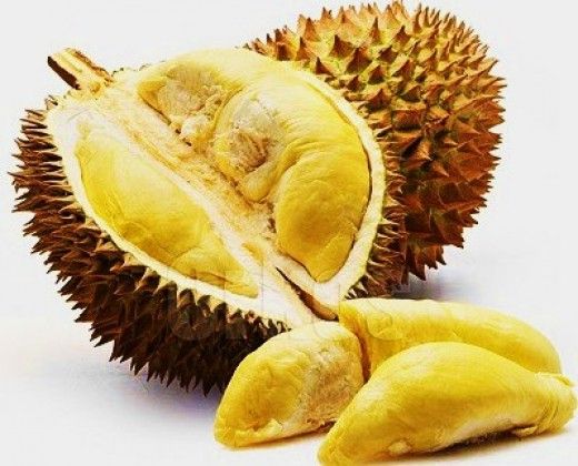 Collection of Musang King Malaysian Durian (D197) (猫山王榴莲) From 3.5 to 4.5 Lbs in a gallery layout