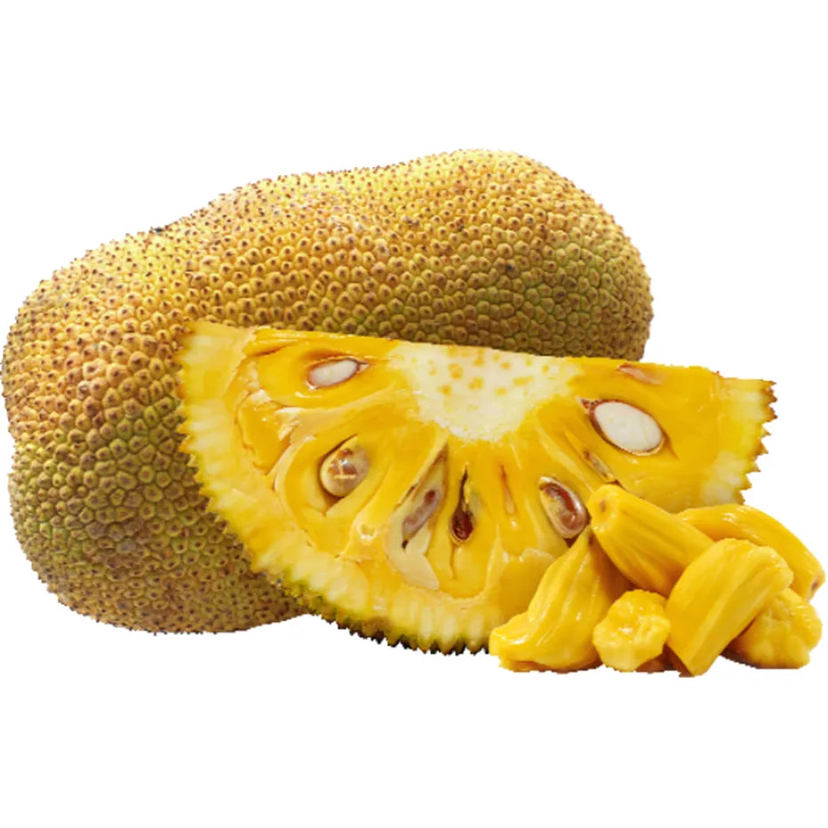 Collection of Fresh Whole Jackfruit 25-35 lb in a gallery layout