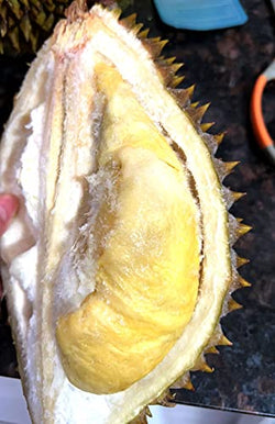 Collection of Robben Premium Quality Vietnamese Frozen Fresh RI6 Durian, 越南金枕头榴莲, (From 4-6 lb, Pack of 1) in a gallery layout