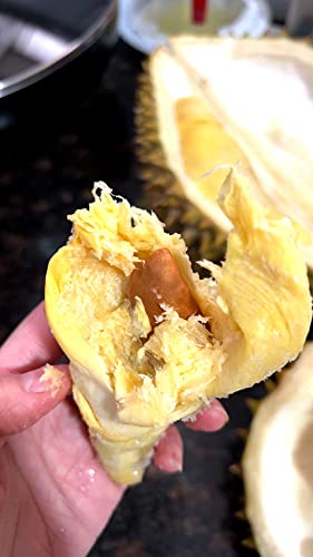 Collection of Robben Premium Quality Vietnamese Frozen Fresh RI6 Durian, 越南金枕头榴莲, (From 4-6 lb, Pack of 1) in a gallery layout