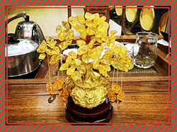 Collection of Feng Shui Citrine/Citrine Money Tree and Citrine Tree, Faucet Crystal Tree/Chinese Dragon Fortune Crystal Tree/Gift Tree (Yellow) in a gallery layout