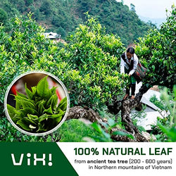 Collection of VIXI Green Tea Loose Leaf, Vietnam's Mountain Tea (Vietnamese Tea, 8.00 Oz) in a gallery layout